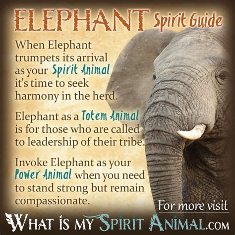 Spirit elephant - Sep 29, 2021 · Christian Religion. In Christianity, elephant symbolism and connotation are linked to patience, wisdom, grace, and temperance. Elephant Spirit Animal is also associated with Christian chastity and purity. Elephants can represent the mercy and strength conveyed by Christ and Christ-like personalities since they are gentle giants. Elephants are ... 